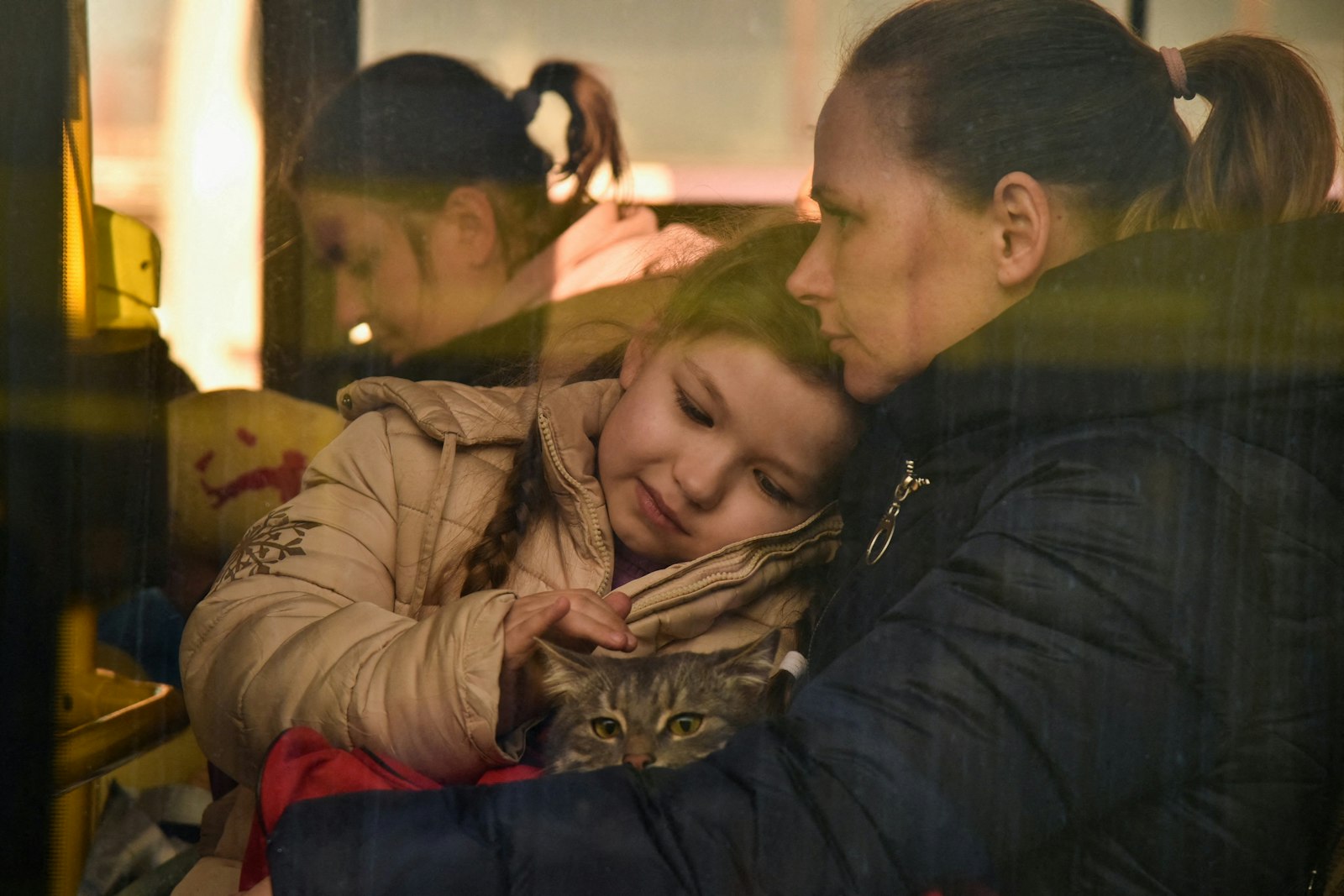 A child pets a cat on a bus for refugees fleeing Russia's invasion of Ukraine, in Lviv, Ukraine, on March 13. (Pavlo Palamarchuk, Reuters | CNS photo)