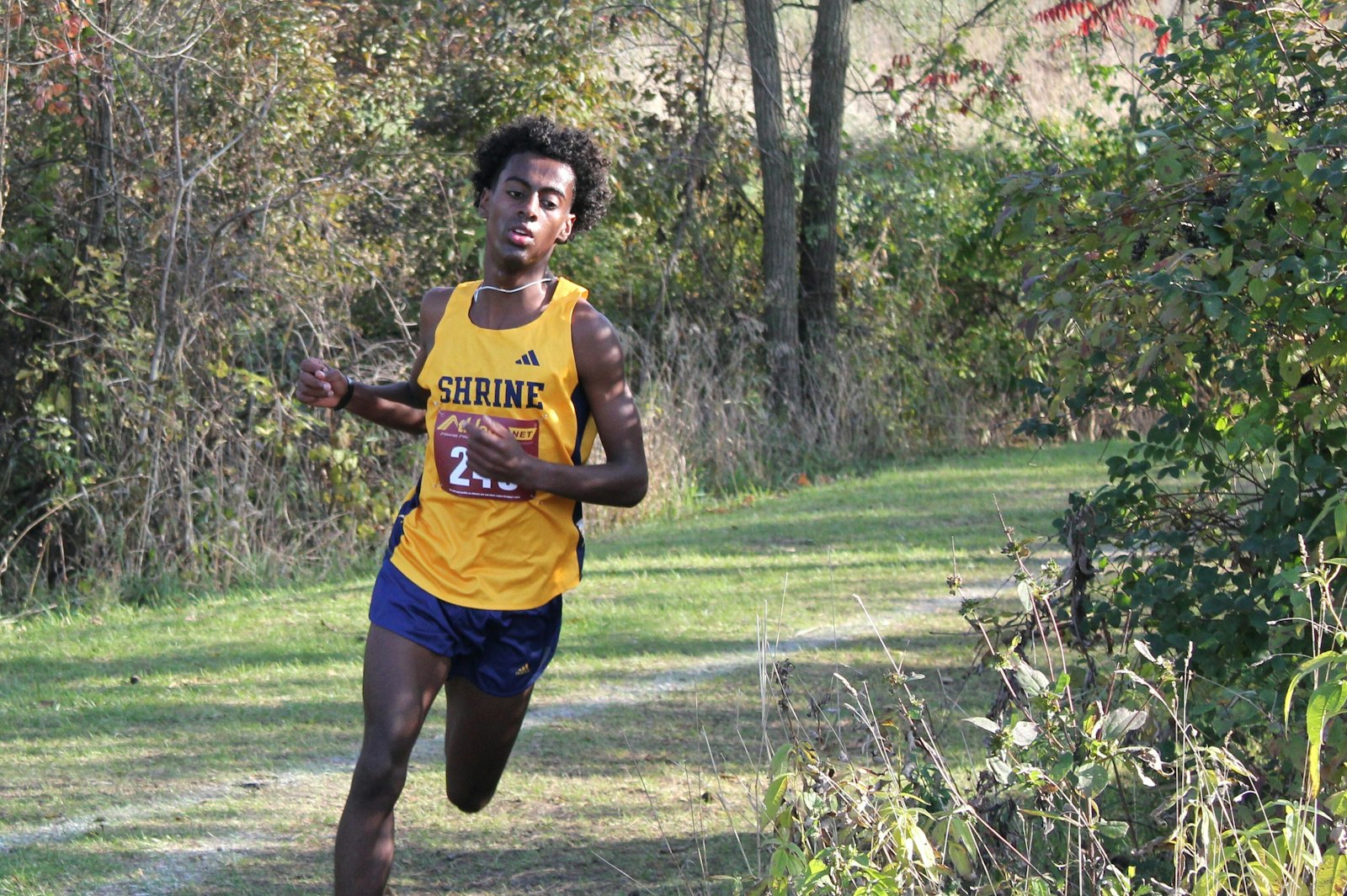 Royal Oak Shrine’s Abenezer Cerone is out in front of the pack, traveling down the hill past the one-mile mark. Cerone won the race by nearly a full minute, in 16:17.2. (Photo by Isobel Malcolm | Special to Detroit Catholic)