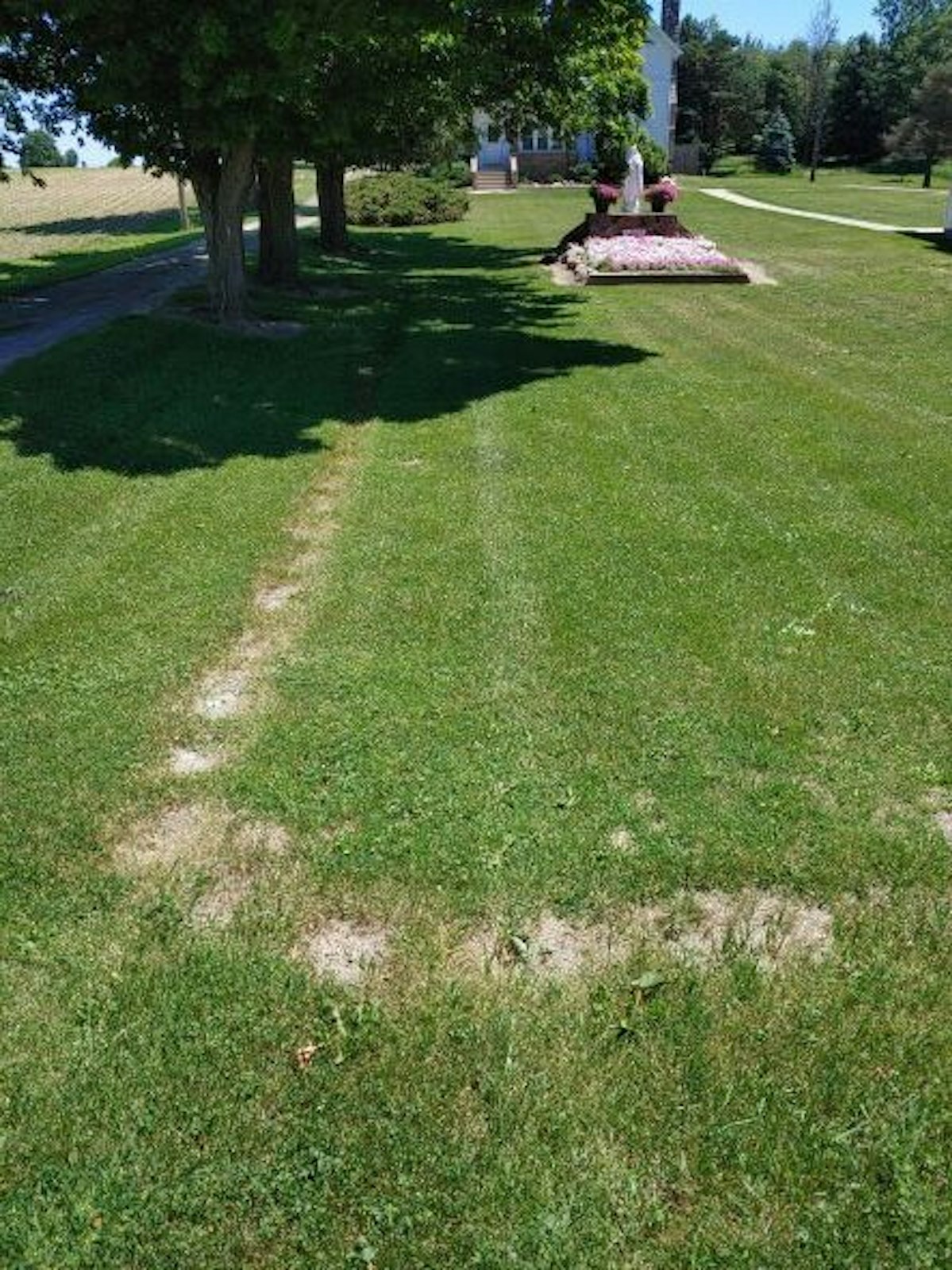 The rosary walk as it looked before parishioners restored it. Many at the parish assumed the stone path was the foundation of a building that had been long since torn down until Almand discovered the stones' true origin.