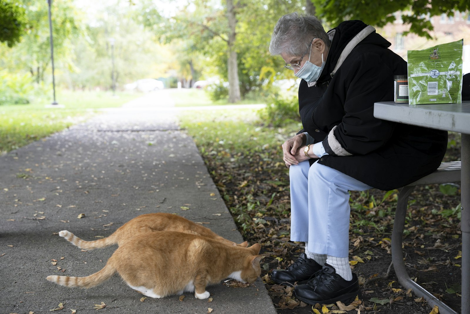 Animals are Sr. Magrie's second love after music. She spends her entire allowance on food to feed the outdoor cats and visits them to lift her spirits when she is sad. (Photos by Gabriella Patti | Detroit Catholic)