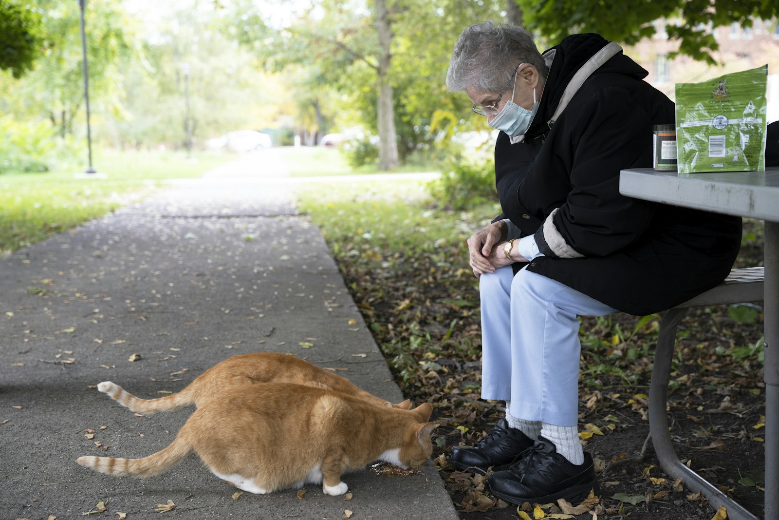 Los animales son el segundo amor de la Hermana Magrie después de la música. Ella gasta su asignación completa en comida para alimentar a los gatos al aire libre y los visita para levantar su ánimo cuando está triste. (Fotos de Gabriella Patti | Detroit Catholic)