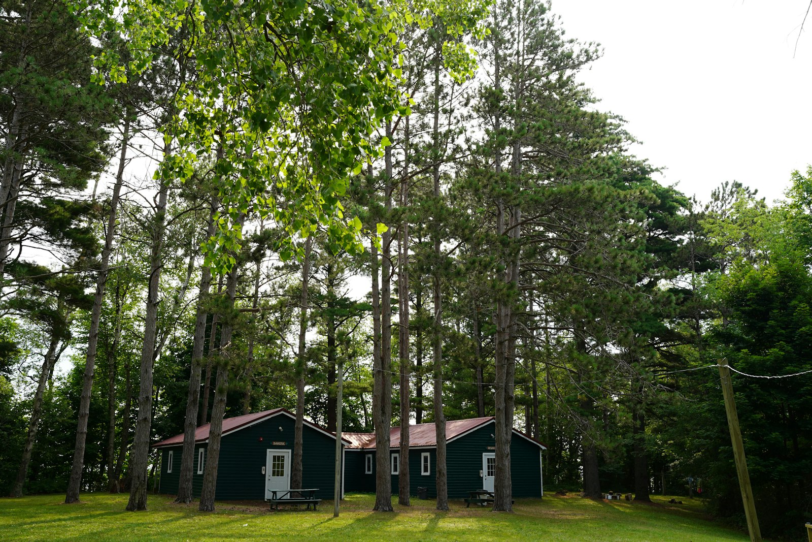 Nestled in the woods of Michigan's Thumb, Camp Ozanam was founded to provide children in difficult situations a chance to explore, make new friends and find peace for a week of camping, games and summer activities.