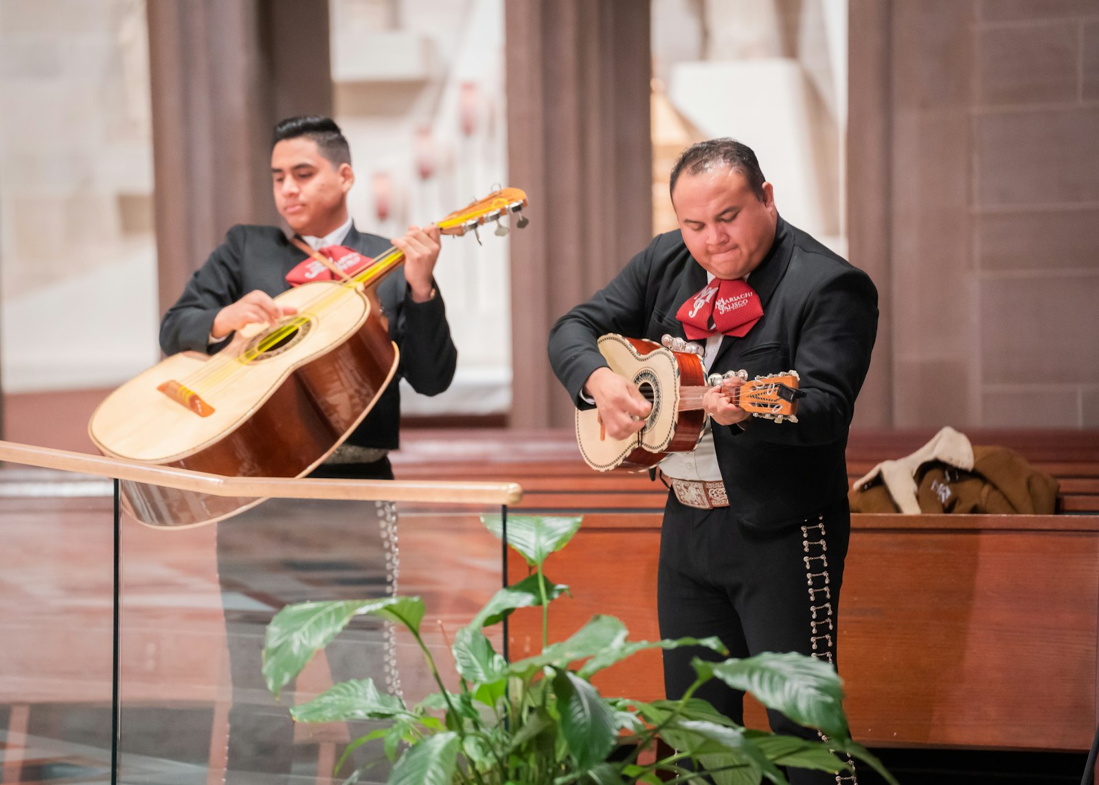 It is a tradition in Mexico to sing to the Virgin as an expression of gratitude. A serenade is sung to her, which is a part of prayer.