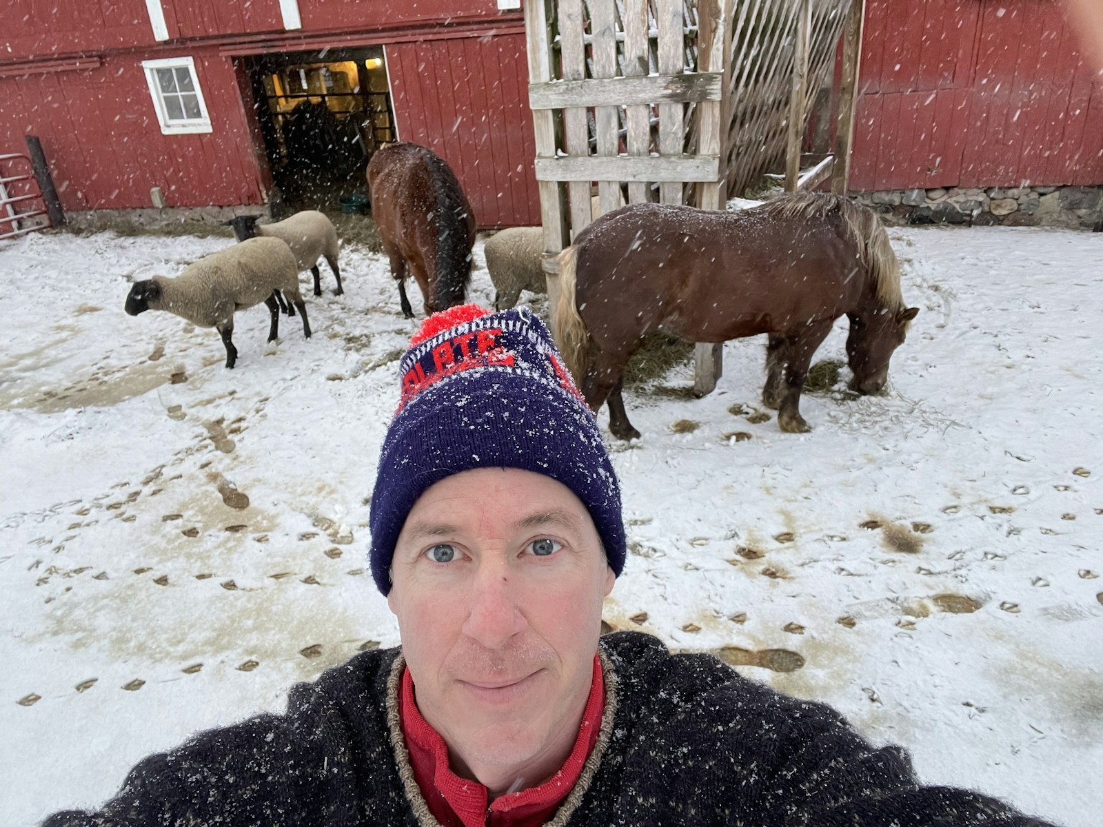 O'Rourke poses for a "selfie" with sheep and other animals on the family farm where his wife, Heidi, grew up. After returning to Michigan, the O'Rourkes returned to the farm, despite Brian's job more than 50 miles away in Detroit. There's always chores to be done, he says. (Courtesy of Brian O'Rourke)