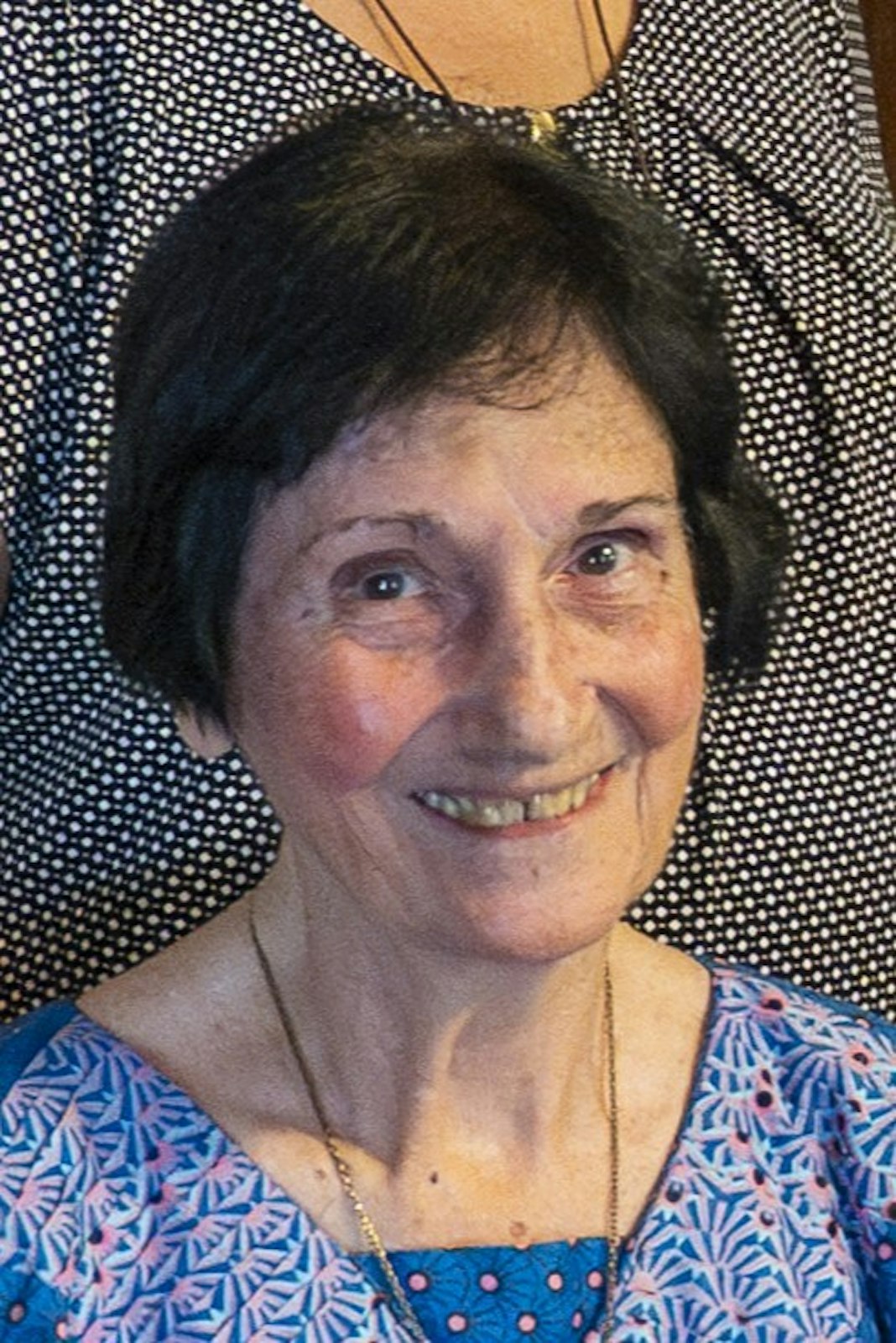 Sr. Barbara Mary Dakoske, HVM