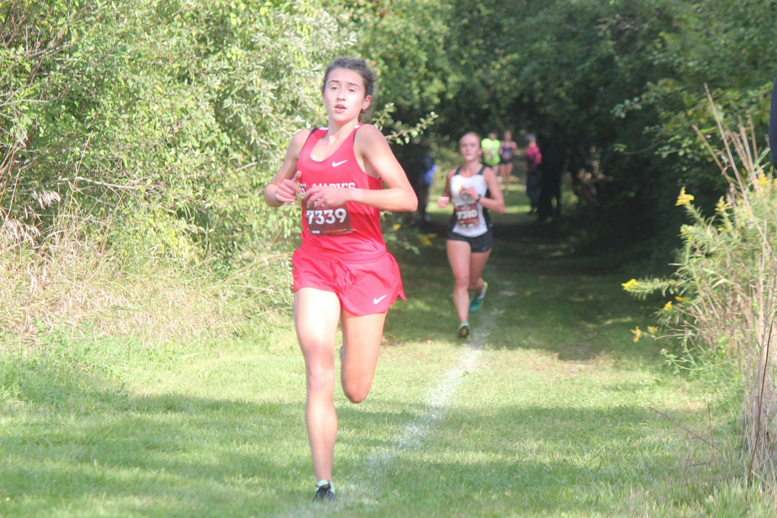Near the mile mark, Orchard Lake St. Mary’s sophomore Mea D’Agostino begins to pull away from the pack. She won the 5-kilometer race in 20:00 flat.