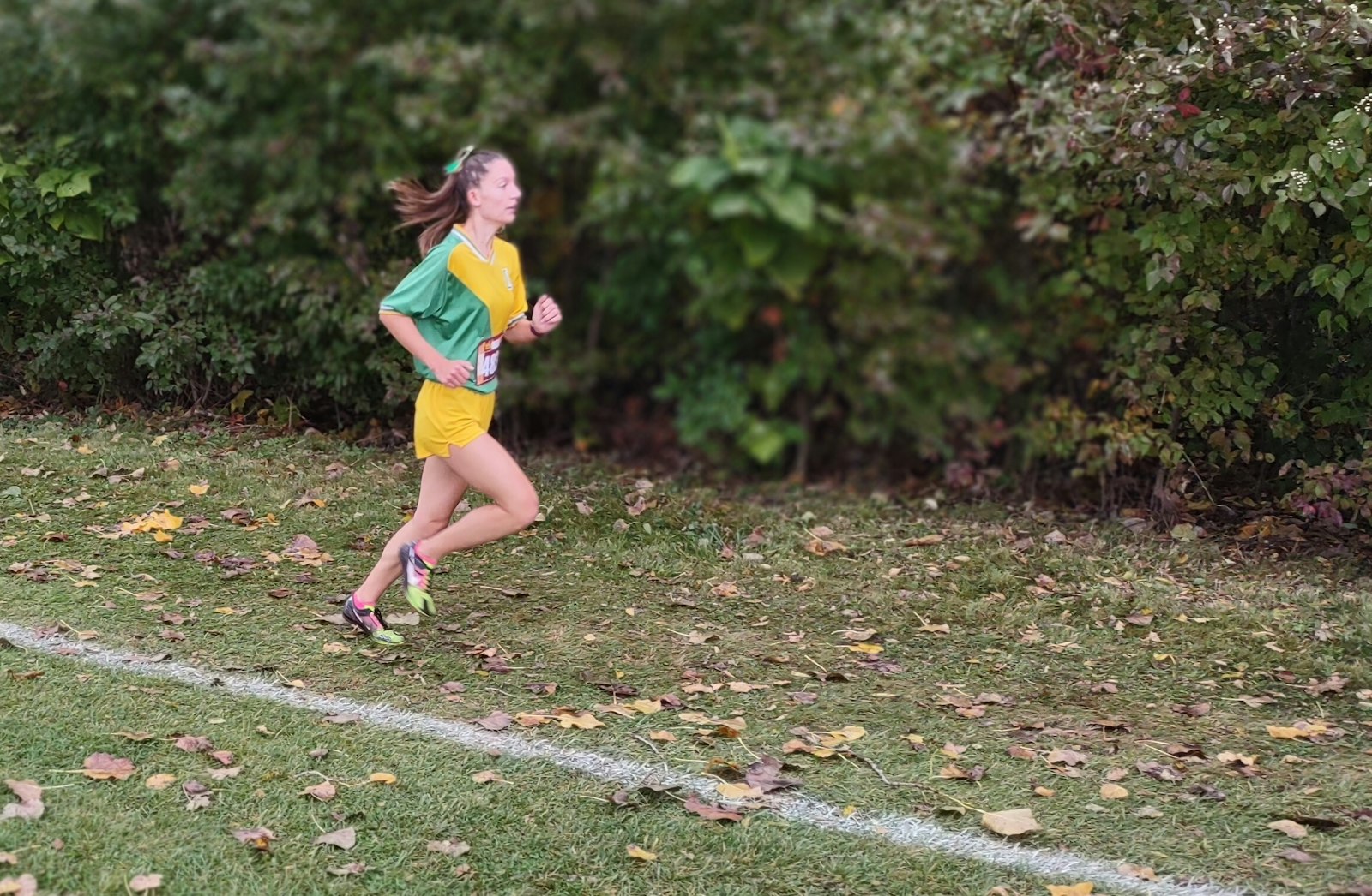 Heading into the final stretch, Jackson Lumen Christi senior Madison Osterberg has the course to herself as she leads the field toward the finish line of the Catholic League Cardinal Division cross-country championship. Osterberg finished more than a minute ahead of the defending champion, Allen Park Cabrini’s Ava Teed.